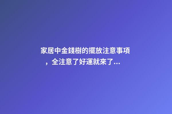 家居中金錢樹的擺放注意事項，全注意了好運就來了！